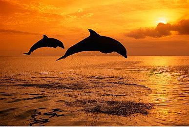 《地狱时刻》Xbox Series X|S版延期1-2周