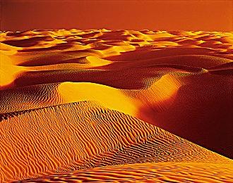 弹幕射击《Archvale》正式发售 Steam获特别好评