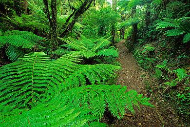 《使命召唤：黑色行动6》第三赛季4月3日开启