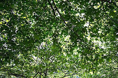 FromSoftware新作《Spellbound》可能泄露 海量首批细节